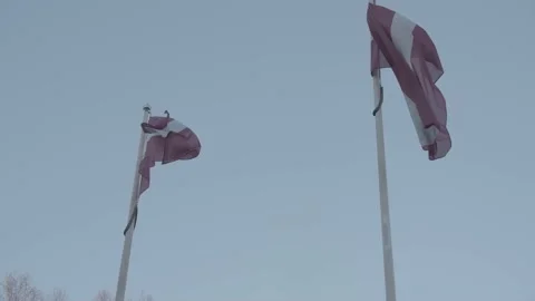Latvian Flags Waving in the Wind 库存影片 221854099