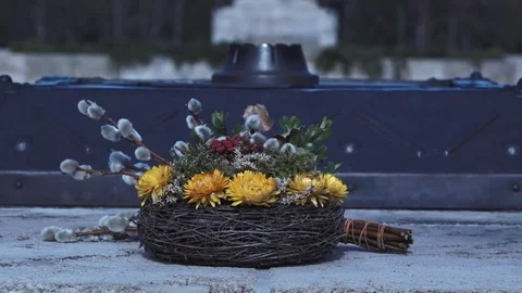 Latvian Forest Stock Footage 108396448