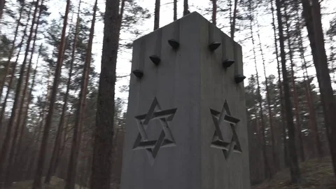 Latvian Forest Stock Footage 108396478