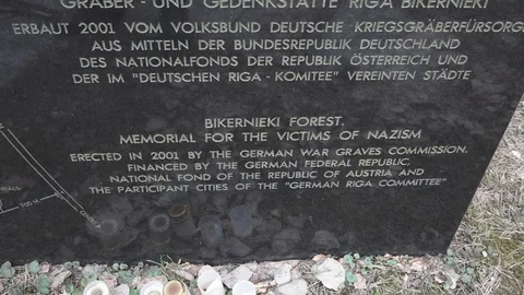 Latvian Forest Stock Footage 108396521