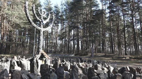 Latvian Forest Memorials Stock Footage 108396525