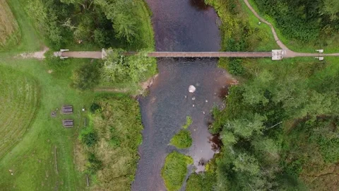 Latvian nature Video stock 206445633