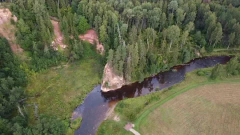 Latvian nature Video stock 206479200