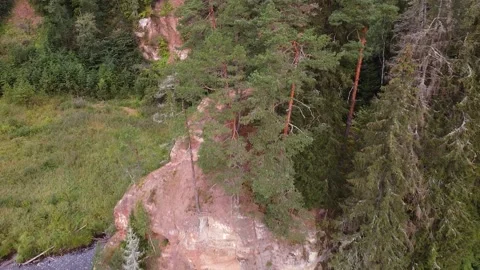 Latvian nature Stock Footage 206479202