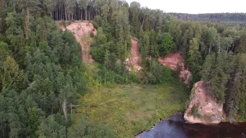 Latvian nature Video stock 206479571