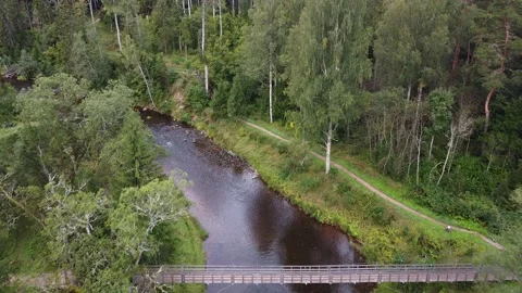 Latvian nature Stock Footage 206480940
