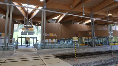 "Laubenbauchmühle" train station 스톡 동영상 220096255