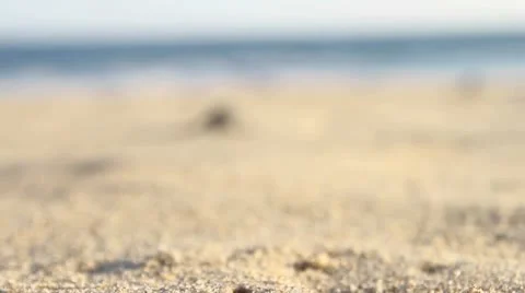 Laud turtles going to the sea Stock Footage 8948123