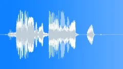 Laugh Male Old High Sound Effect