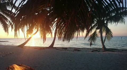 Laughing Bird Caye Sunset Timelapse Stock Footage 61151007
