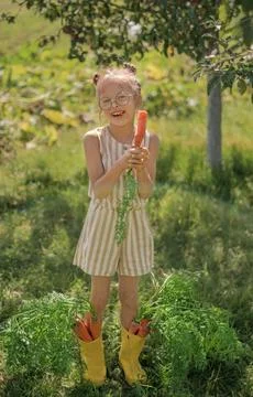 A laughing, cheerful child eats fresh carrots. Stock Photos