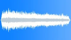 Laughing Gull CU MassSound Effect