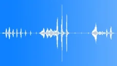 Laughing male after jokeSound Effect