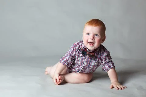 Laughing Stock Photos