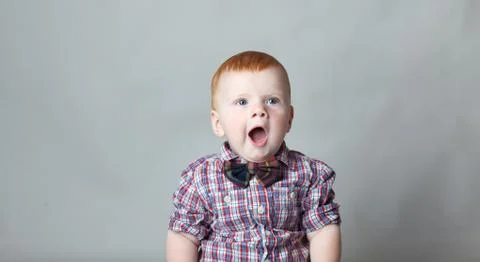 Laughing Stock Photos