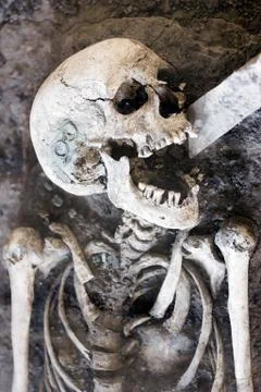 Laughing Skeleton Photos