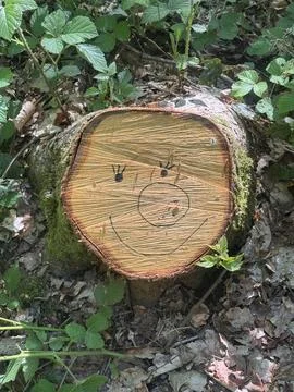 A laughing tree stump 스톡 사진