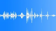 LAughs_ChildrenSmGroupSound Effect