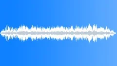Laughs_KidsLargeCrowdAdncSound Effect