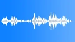 Laughs_KidsVI Sound Effect