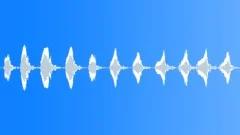 Laughs_WomanSubduedSound Effect