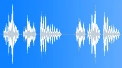 Laughter male synchronized cartoon Sound Effect