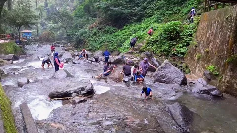 Laughter by the River. Nature's Playground. Finding Freedom in the Flow. Stock Footage 297231722
