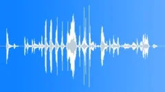 Laughter, Small Group, Young People, Men and Women, V3Sound Effect