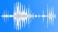 Laughter, Small Group, Young People, Men and Women, V1Sound Effect