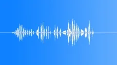 LAUGHTERSound Effect
