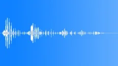 LAUGHTERSound Effect
