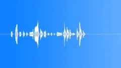 LAUGHTERSound Effect