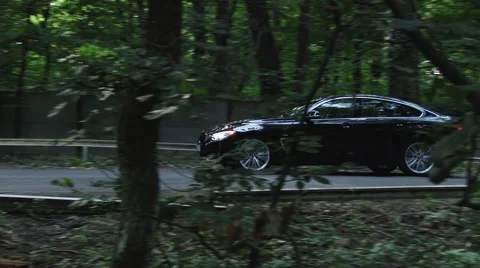 Launch control in the forest Video stock 46124017