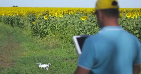 The launch of a drone at the agricultural enterprise Vidéo 78874370