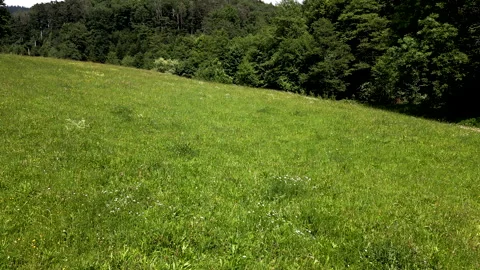 Launch process of a drone on a meadow Stock Footage 131593640