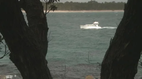 Launch seen through trees closer Stock Footage 951973