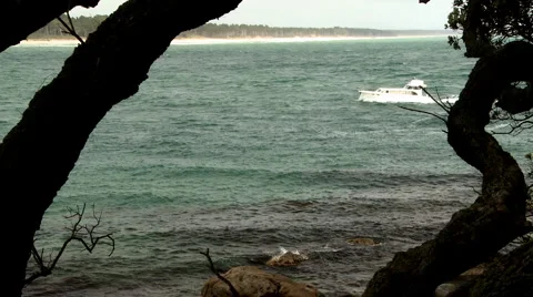 Launch seen through trees Stock Footage 952632