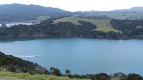 Launch travelling up harbour from elevated view Video stock 39515545
