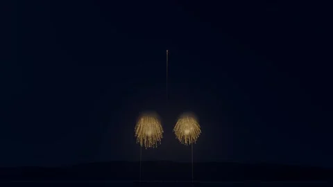Launching firework shells from waterline producing golden chrysanthemum blooms, Vídeos de archivo 346154925