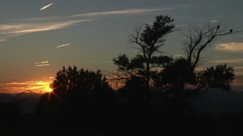 Launching Raven Sunset Stock Footage 41392041