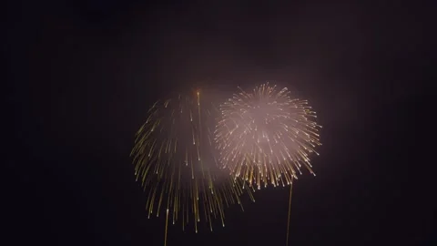 Launching shells rising into night sky, chrysanthemum bursts emitting golden Vídeos de archivo 346154928