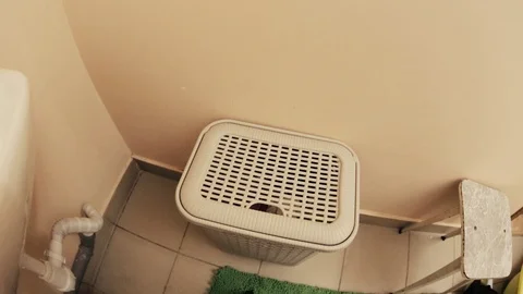 Laundry basket Stock Footage 103329480