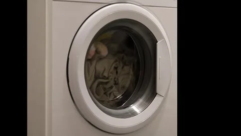 Laundry day task using a front-loading washing machine for clean clothes Stock Footage 322533601