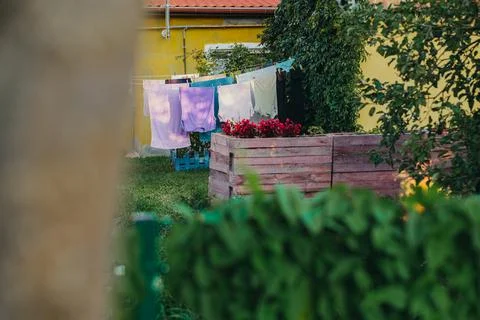 Laundry drying on clothesline in home backyard garden. Towels and clothes han Foto stock