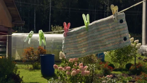 Laundry drying on clothesline in sunny backyard garden with colorful clothespins Stock Footage 345455595