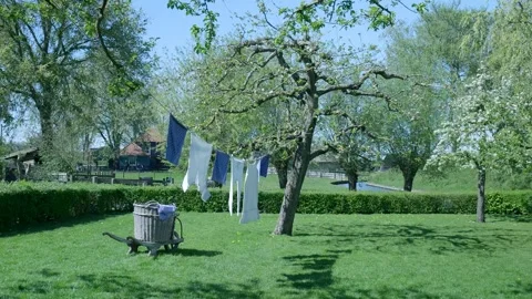 Laundry drying on a clothesline in a sunny garden 스톡 동영상 335834838