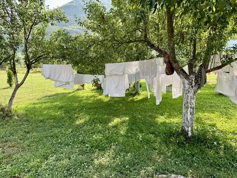 Laundry hanging between trees in a peaceful countryside orchard Stock Photos