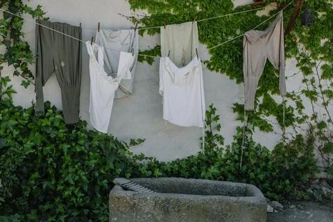 Laundry Hanging on Rustic Wall With Green Ivy and Stone Wash Basin Photos