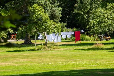 Laundry in the trees Stock Photos