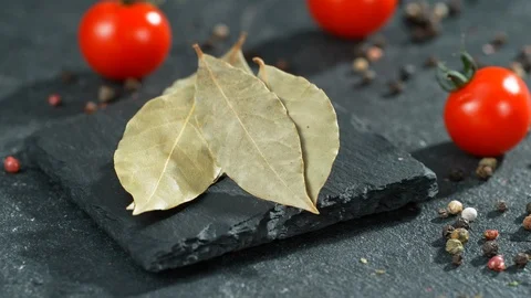 Laurel Bay Leaf Close Up Stock Footage Slow Motion Stock Footage 113191458